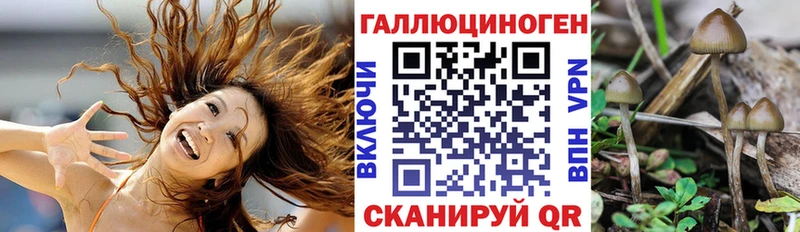 наркошоп  Саратов  Галлюциногенные грибы Magic Shrooms 